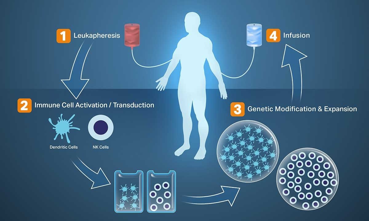 Inmunoterapia Contra El Cáncer De Más Alto Nivel - ONCOCIT RED CANCER